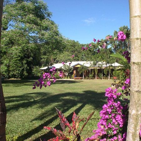 Hibiscus Lodge Bed & Breakfast Wongaling Beach Ngoại thất bức ảnh