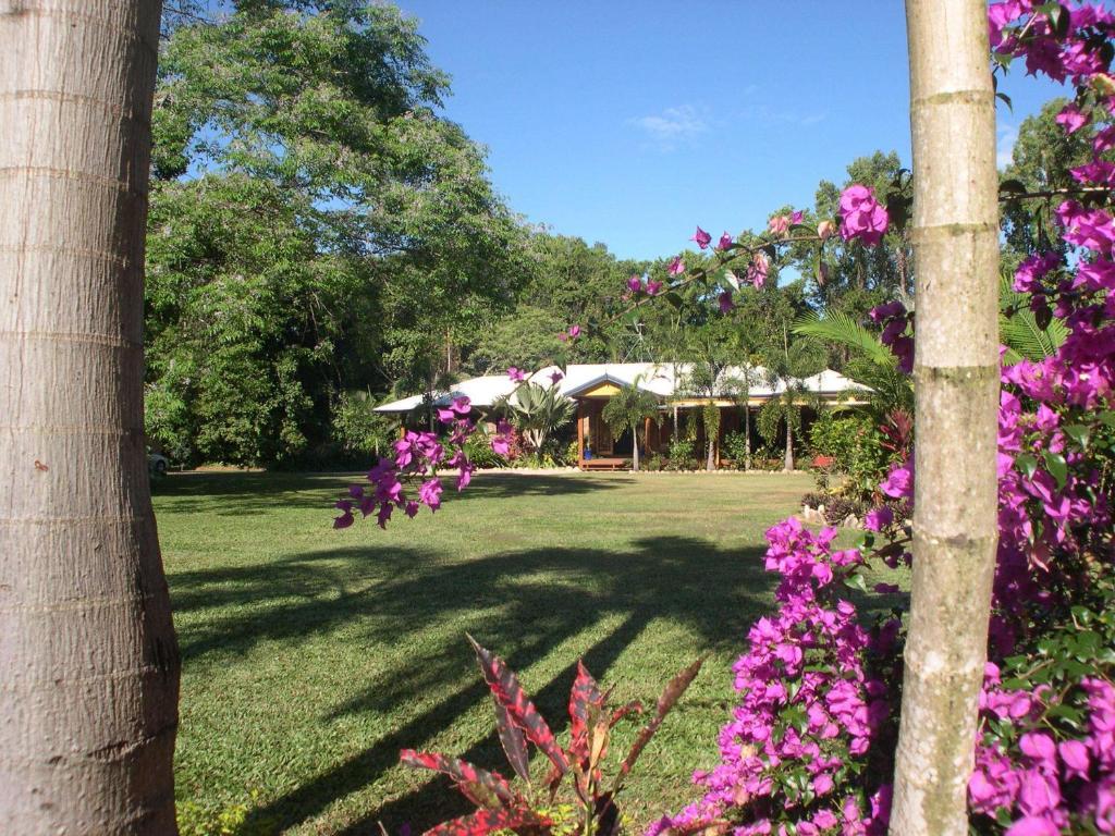 Hibiscus Lodge Bed & Breakfast Wongaling Beach Ngoại thất bức ảnh