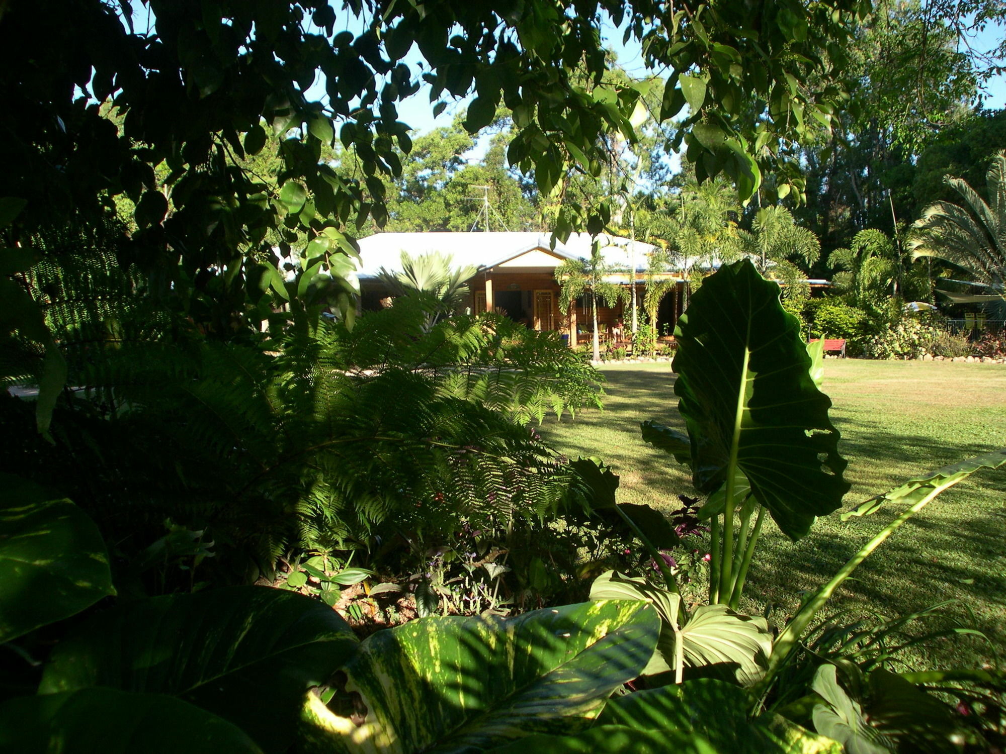 Hibiscus Lodge Bed & Breakfast Wongaling Beach Ngoại thất bức ảnh